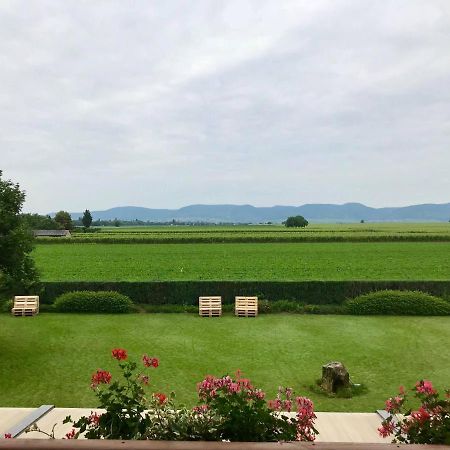 Gaestehaus Vinetum Altdorf  Екстер'єр фото