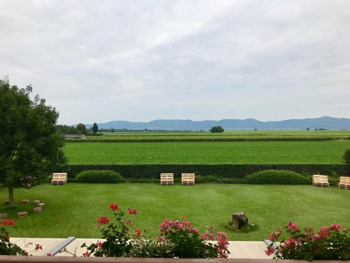 Gaestehaus Vinetum Altdorf  Екстер'єр фото